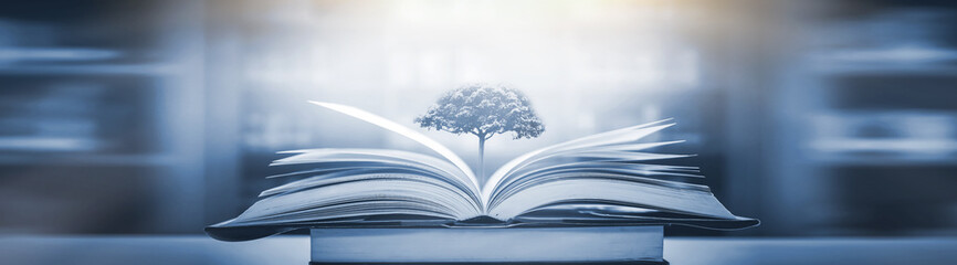 国产斯泰拉纺车轮和阿布哪个好