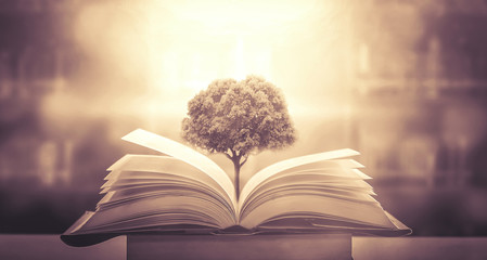 今年高新大吉村拆迁不