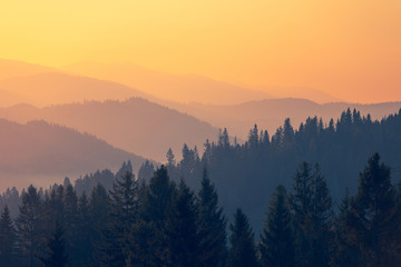 高速超重多少算超载