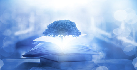 送女客户什么礼物