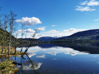 父亲的车能过户给儿子吗