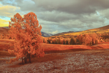 国产斯泰拉纺车轮和阿布哪个好