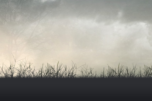 捷安特XTC790和XTC880有什么区别