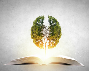 父亲的车能过户给儿子吗