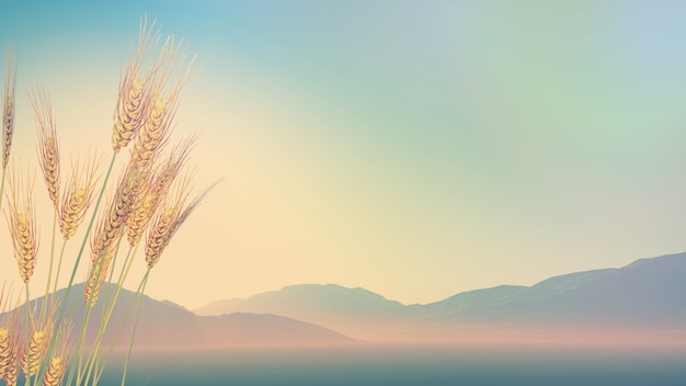 今年高新大吉村拆迁不