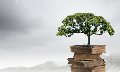 国产斯泰拉纺车轮和阿布哪个好