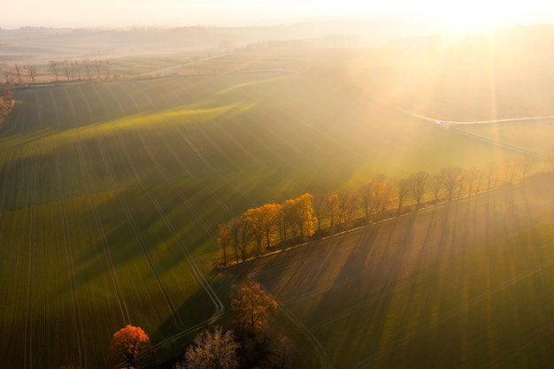 汽车显示abs和刹车灯一直亮是什么原因