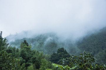 捷安特XTC790和XTC880有什么区别